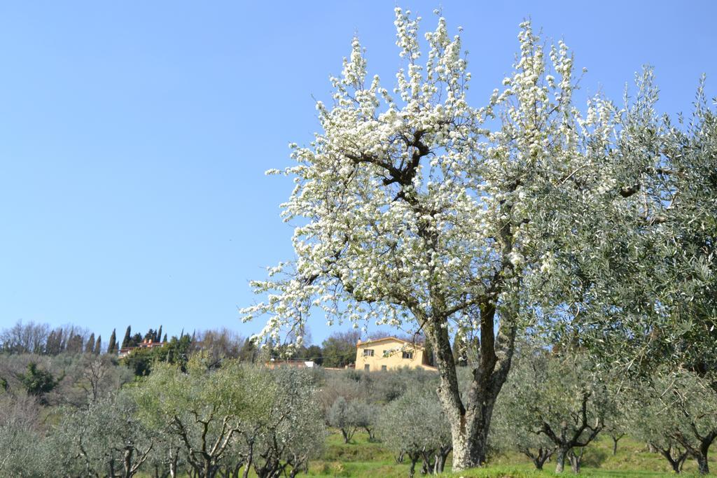 Agriturismo La Corte Пистоя Екстериор снимка